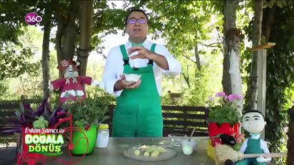 Evlerdeki böceklerden kurtulmanın yolları #DoğalaDönüş'te