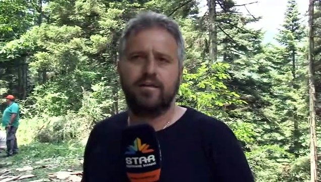 Καρπενήσι: Κανονικά η υλοτομία στον Άγιο Νικόλαο