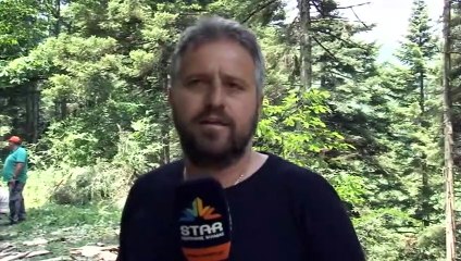 Καρπενήσι: Κανονικά η υλοτομία στον Άγιο Νικόλαο