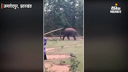 हाथी ने खेला फुटबॉल