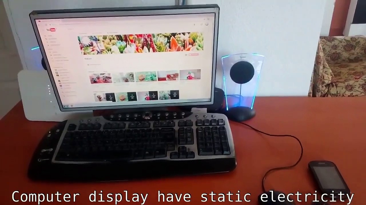How Aloe Vera or Cactus Absorbed static electricity