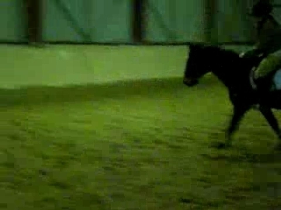 Seance de saut le 21janvier 146