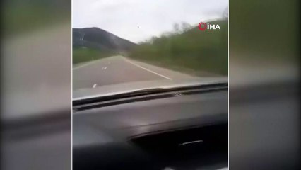 - Yavru Ayı Yol Kenarına Oturarak Otomobilleri İzledi