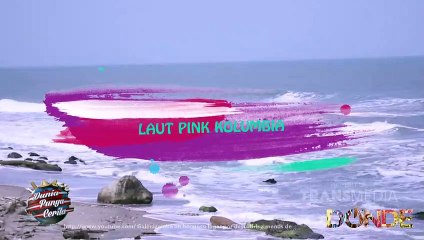 Dunia Punya Cerita- Wah!Begini Laut Pink di Kolumbia