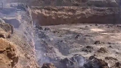 Una treintena de animales mueren calcinados en el incendio de Tarragona