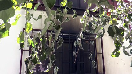 Muhtarlık bürosuna yanıcı madde ile saldırı kamerada