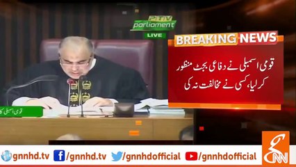 قومی اسمبلی نے دفاعی بجٹ منظور کر لیا