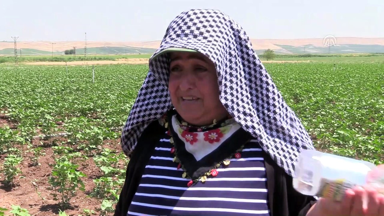 Güneydoğu'da sıcak hava yaşamı olumsuz etkiliyor - DİYARBAKIR