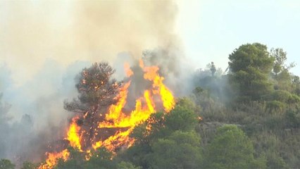 Catalonia wildfire threatens to burn up to 50,000 acres