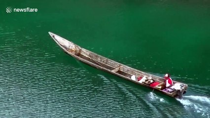 Shark carcasses found without fins and tails after illegal fishing activities in Indonesia