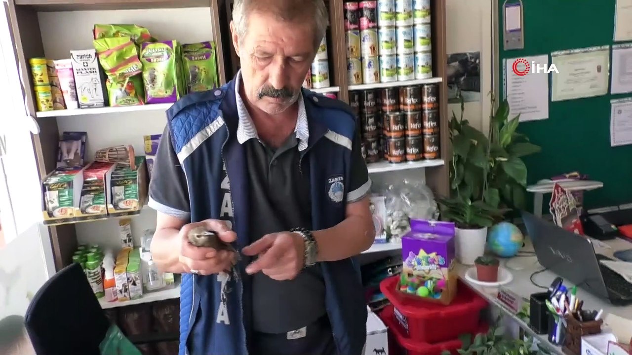 Yaralı kuşun imdadına itfaiye yetişti