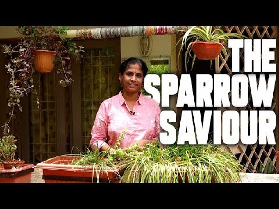 Meet Chennai's 'Sparrow Saviour' Sadhana Rajkumar