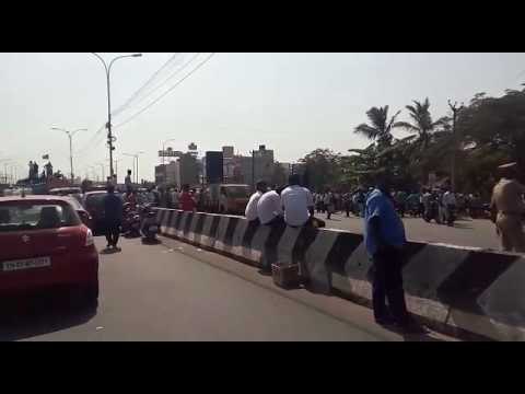 Jallikattu protests: Youngsters take to the streets in Velachery