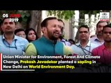 Prakash Javadekar, Kapil Dev, Babul Supriyo and others plant saplings on Environment Day