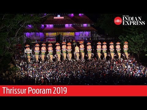 Thrissur Pooram: Colourful parasols, jumbos, melam marks fitting end to this year’s festival