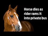 Horse killed after drunk man riding it rams into bus in Chennai