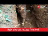 One year old baby elephant rescued from well in Kerala