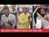 India Elections 2019: Big names in Andhra Pradesh cast their vote.