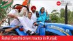 Congress President Rahul Gandhi drives tractor in Punjab