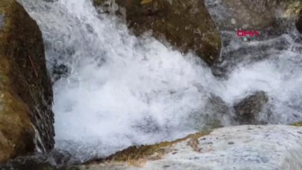 BALIKESİR KAZDAĞLARI'NIN BUZ GİBİ SULARINDA SERİNLİYORLAR