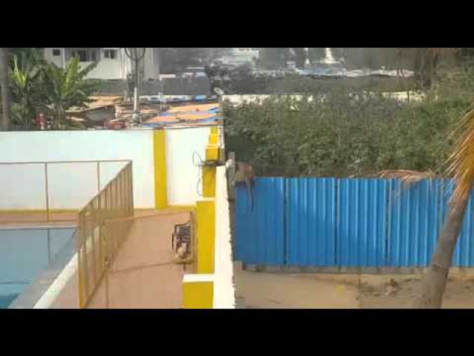 video: Leopard enters school premises in Bengaluru