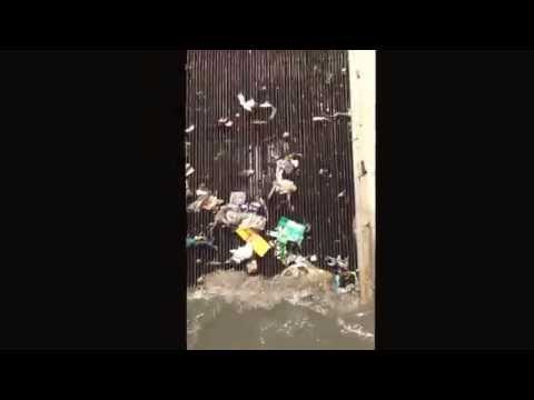 What happens in a Sewage Treatment Plant? (Bengaluru)