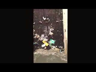 What happens in a Sewage Treatment Plant? (Bengaluru)