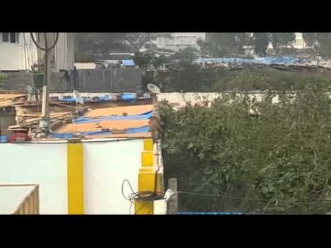 A leopard enters a school in Whitefield, Bengaluru