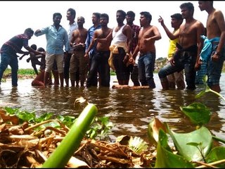 Standing knee-deep in Thamirabarani water, protests resume fight against Pepsi-Coke