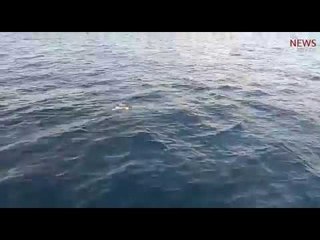 Cyclone Ockhi: Kanyakumari fishermen find 5 dead bodies in the sea