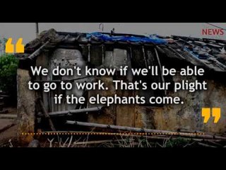 Balan, a Kattunayakar resident from Chambakolly village on wild elephant attacks