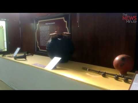 Yazh to panchangi veenai: Forgotten musical instruments now on display at Egmore Museum