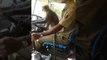 Monkey business: Karnataka driver suspended for letting langoor steer bus