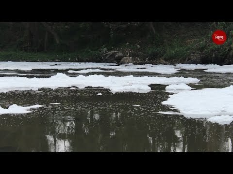 How polluted water bodies in Peenya has spiraled into a public health crisis