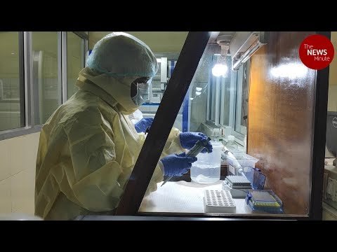 On the trail of a virus: KFD aka Monkey Fever explained