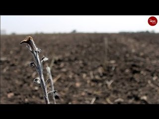 Price of a Drought: How a relentless drought has forced families to leave Anantapur