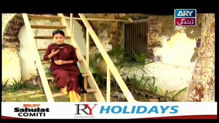 Mehmoodabad Ki Malkain Episode 90 & 91 - 27th June 2019