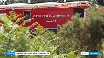 Canicule : les massifs forestiers sous la surveillance des pompiers