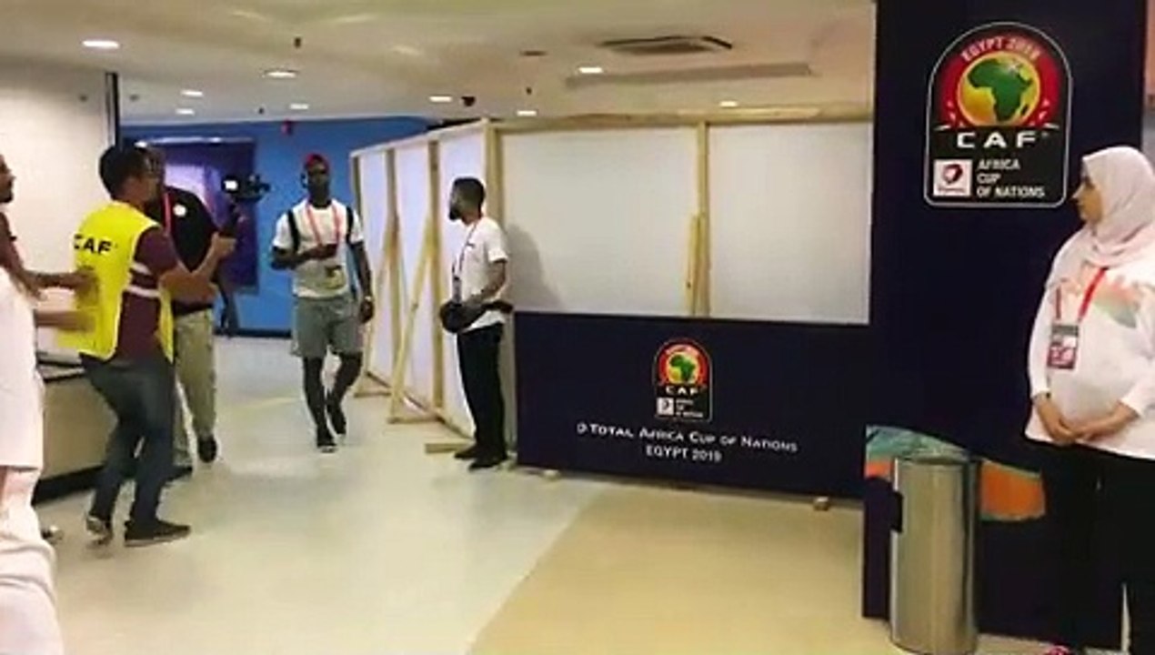 L’arrivée des lions au stade