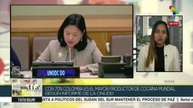 ONU: más del 70% de la cocaína mundial se produce en Colombia