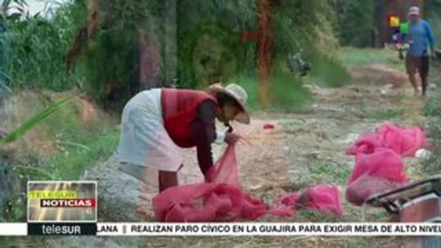 teleSUR Noticias: Venezuela denuncia nuevos planes desestabilizadores