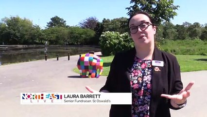 Elmer's Great North Parade Joins Forces With Newcastle Mela!