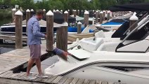 2019 Sea Ray SLX 280 For Sale MarineMax Excelsior Minnesota