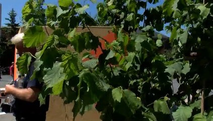 GOODLINES: 28th June 2019