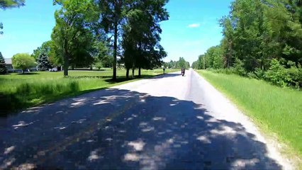 Two Wheeled Turtle Hero