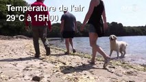 Dans le Finistère, les touristes profitent de la fraîcheur