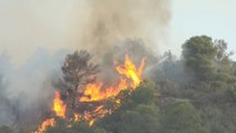 Heatwave triggers vast wildfire in northeast Spain that engulfs 13,600 acres