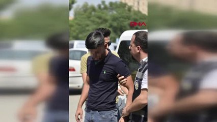 MARDİN Ağacı kırma anı kamerada