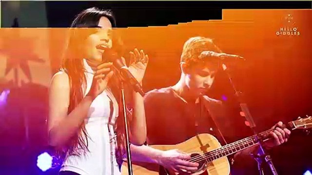 Camila Cabello wants fans to stop causing “more pain” by shipping her and Shawn Mendes amid breakup