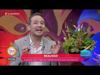 El cochinito: mitos sobre los seguros | Sale el Sol